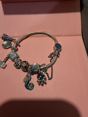 Stunning pandora bracelet - stunning,