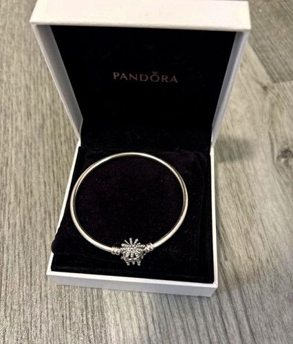 Pandora moments sparkling - moments,