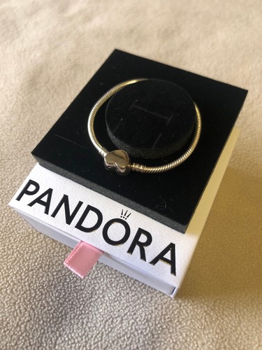 Pandora moments engraveable - moments,