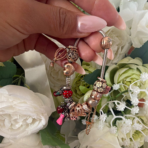Pandora charm bracelet