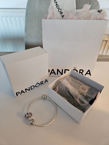 Pandora moments charm bracelet - moments,