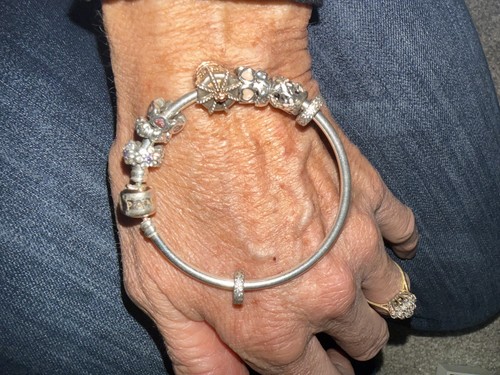 Pandora bangle with various - bangle,