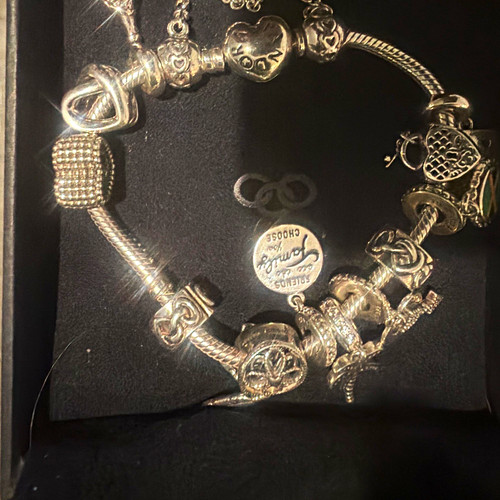 Pandora silver charm bracelet - pandora,