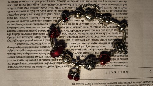 Pandora silver charm bracelet - silver,