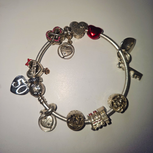Pandora 925 silver rigid - 925,