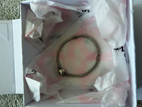 Pandora silver snake chain - pandora,