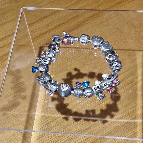 Pandora charm bracelet bundle - charm,