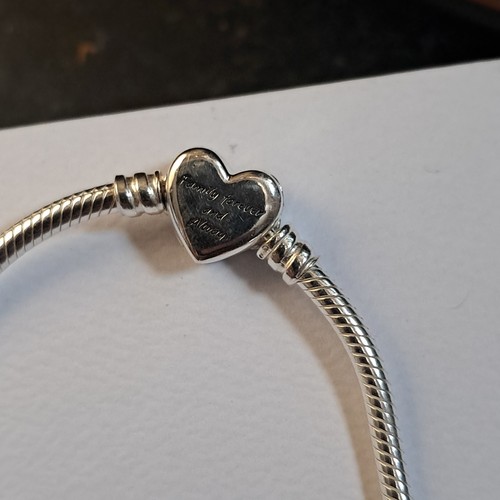 Pandora 925 sterling - pandora, silver