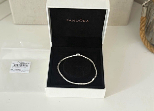 Pandora moments 925 sterling - moments,